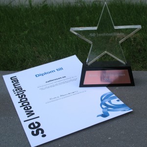 En glasstatyet i form av en stjärna samt ett diplom med motivering till Bronspriset