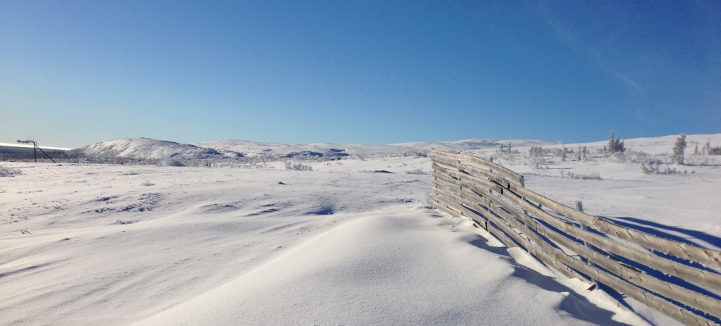 Utsikt över kalfjället